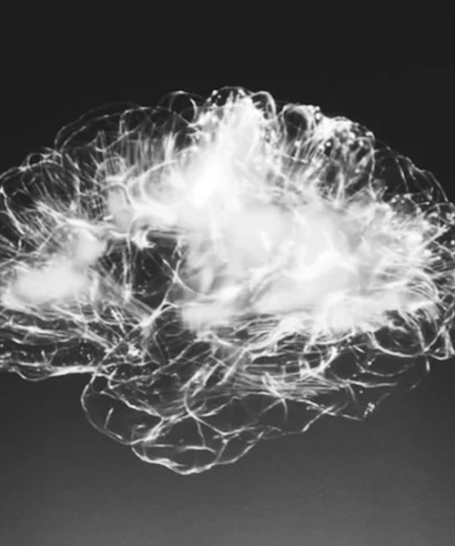 11-brain-b