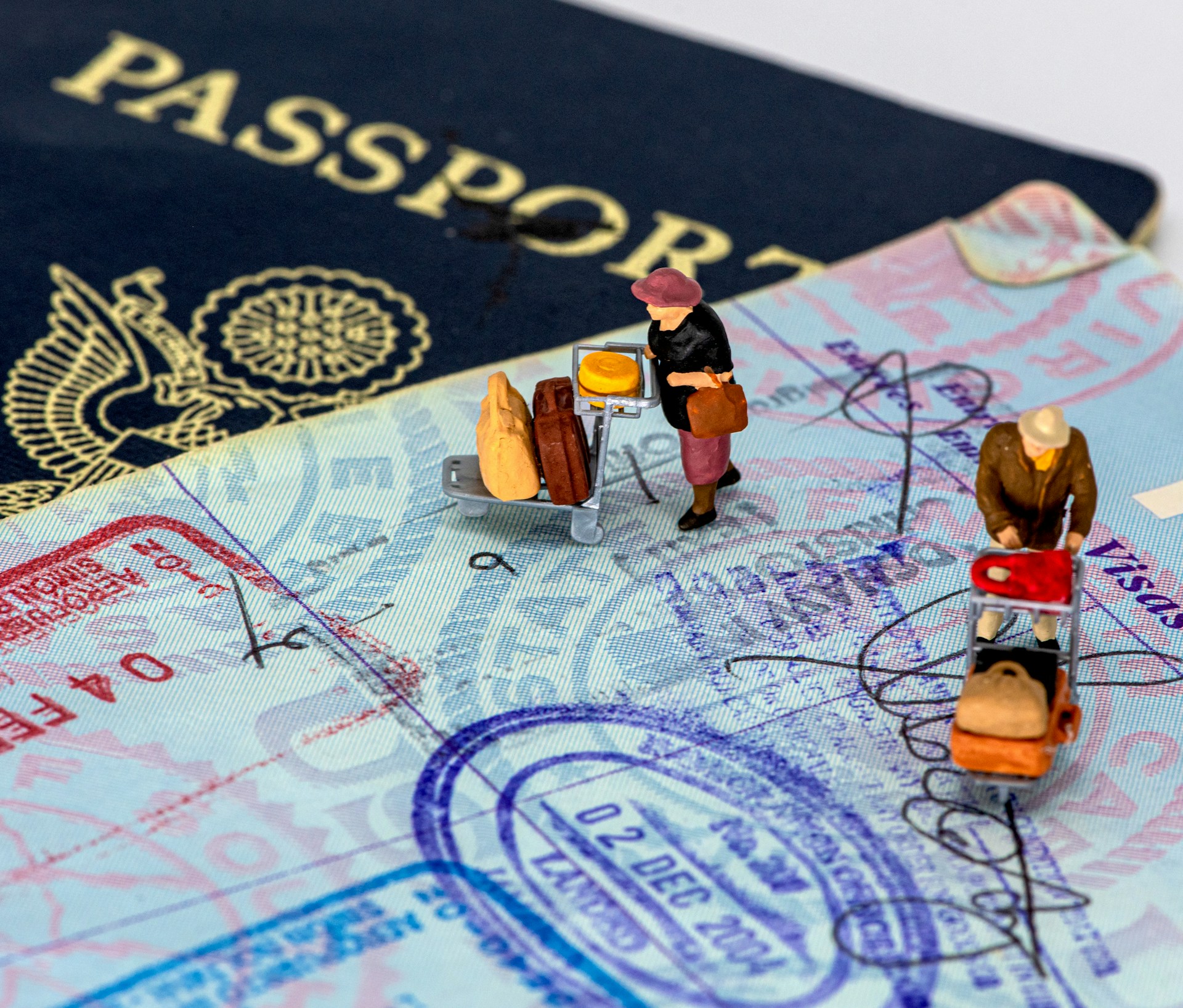 Expat vs Immigrant